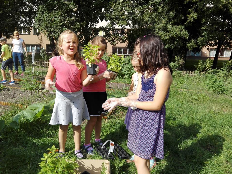 4 dziewczynki sadzą rośliny